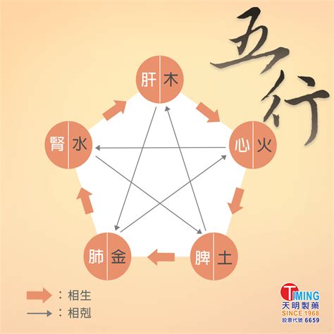 五行 意思|中醫知識 